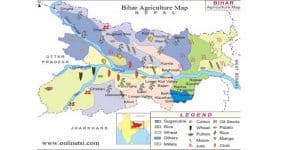 बिहार की मिट्टियाँ- महत्वपूर्ण तथ्य / Soils of Bihar- Important Facts